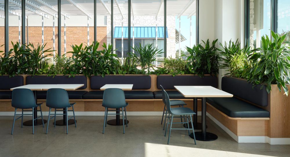 Long navy banquette with a wood planter box full of plants along its back, in front of tall windows